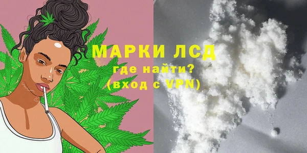 спиды Новозыбков