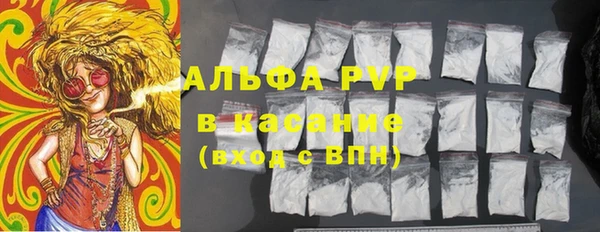 спиды Новозыбков