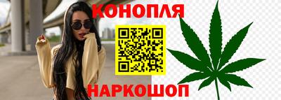 каннабис Гатчина