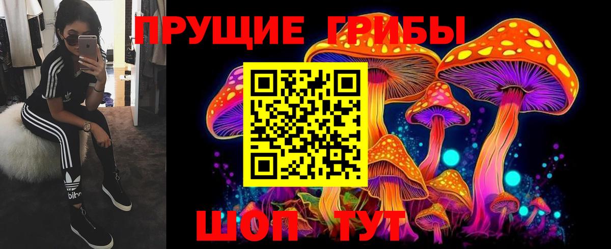 Галлюциногенные грибы MAGIC MUSHROOMS  Ижевск 