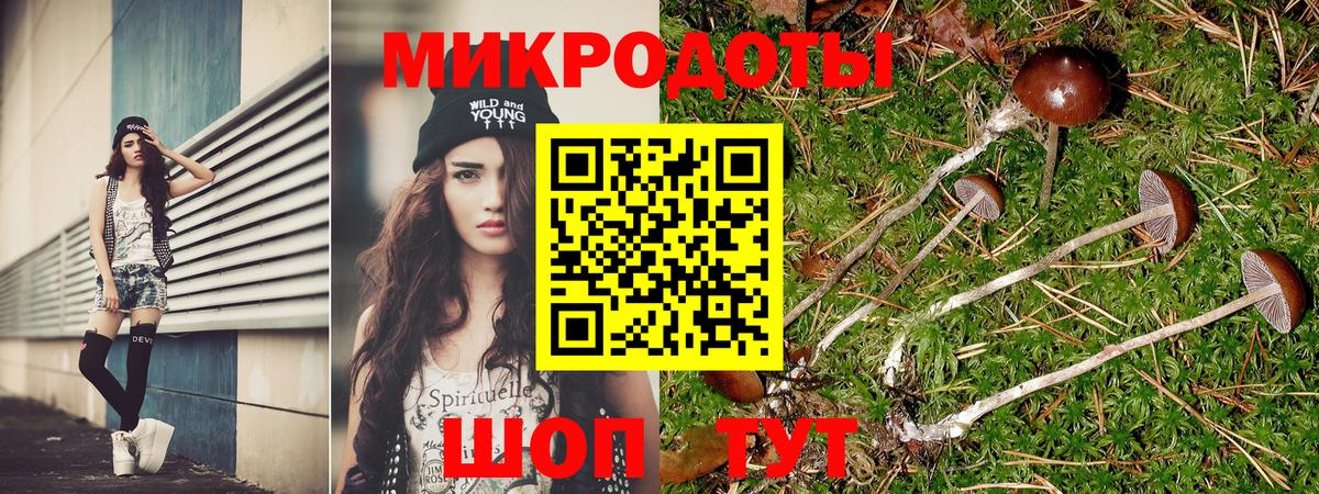 Псилоцибиновые грибы GOLDEN TEACHER Ижевск