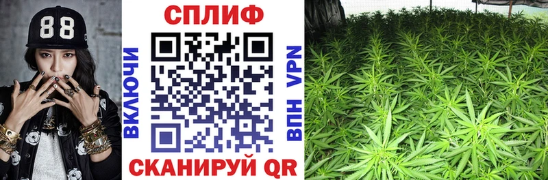 Каннабис план  даркнет сайт  Ижевск 